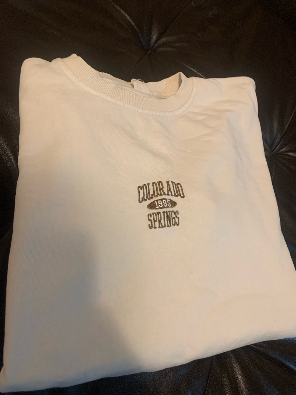 BRANDY MELVILLE Colorado Springs Cream Crewneck Sweatshirt